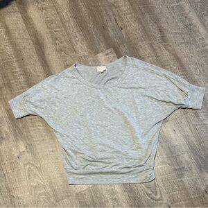 Lavish Light Gray Short Sleeve Top